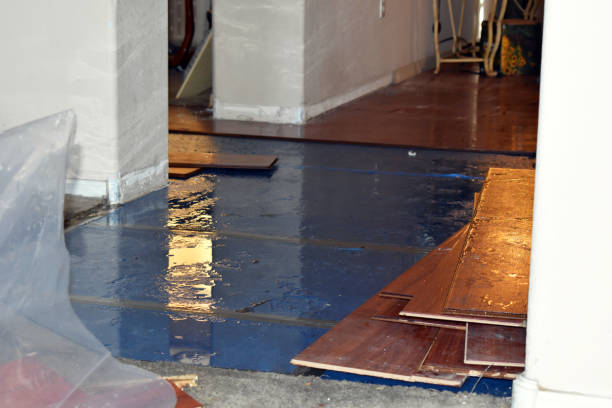 Professional Flood Damage Restoration technician working in Lynwood, CA